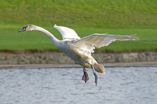 DSC_2753.jpg