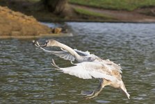 DSC_2755.jpg