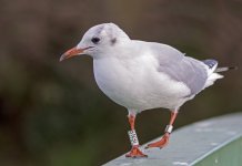 DSC_2708.jpg