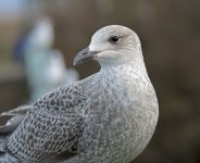 DSC_2710.jpg