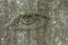 _DSC7127.jpg
