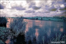 12-21-15 Loxahatchee IR    3.jpg