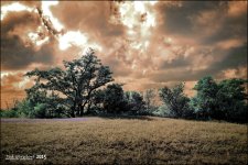 12-21-15 Loxahatchee IR    4.jpg