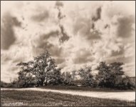 12-21-15 Loxahatchee IR    5BW.jpg