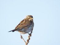 DSC_3048.jpg