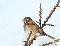 DSC_3034.jpg