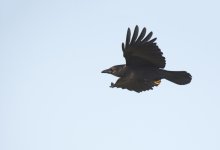 DSC_2940.jpg