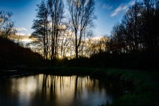 DSC_7142.jpg