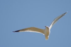 20151223-DSC_7326.jpg