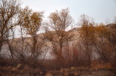 ROY_3677.JPG