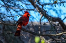 DSC_4990.jpg