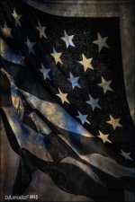Tattered Glory  2015  BW.jpg