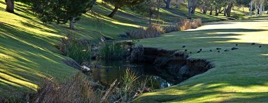 Creek3.jpg