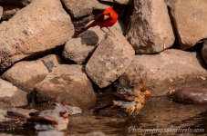 DSC_5059.jpg