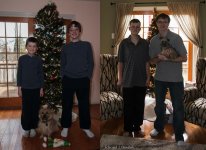 XmasDogs2008to2015.jpg