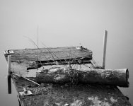 dock.jpg