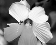 _AAA5915 - Version 2 (1).jpg