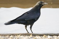 DSC_3256.jpg