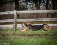 flying (1 of 1).jpg