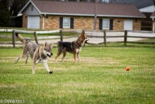 be the ball (1 of 1).jpg