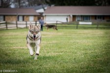 coming in hot (1 of 1).jpg