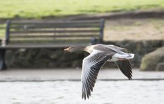 DSC_3356.jpg