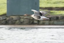 DSC_3357.jpg