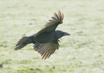 DSC_3369.jpg