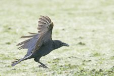 DSC_3370.jpg