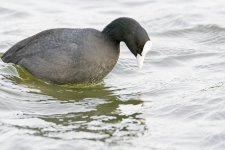 DSC_3383.jpg