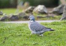 DSC_3328.jpg