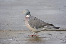 DSC_3333.jpg