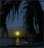 sunset Key beach.jpg