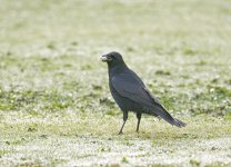 DSC_3361.jpg