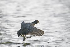 DSC_3412.jpg