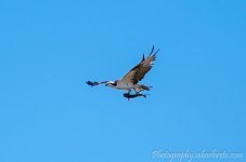 DSC_5353.jpg