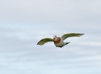 DSC_3473.jpg