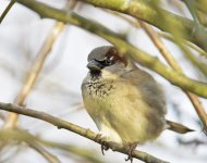 DSC_3458.jpg