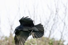 DSC_3484.jpg