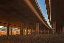 29 December 2015 - Concrete Forest.jpg