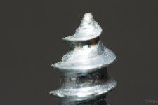 MacroTest7.jpg