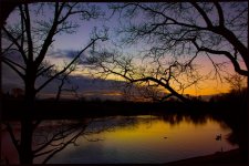 DSC_7339-Edit-2.jpg