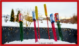 DSC_1572.jpg