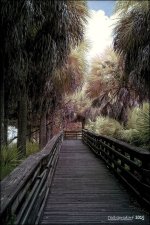 12-31-2015 Wetlands    1.jpg