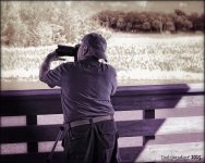 12-31-2015 Wetlands    3.jpg