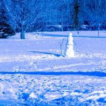 _DSC5125.jpg