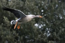 DSC_3755.jpg