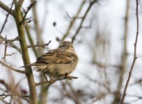DSC_3679.jpg