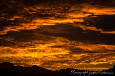 DSC_4714.jpg