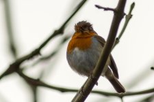 DSC_7566.jpg